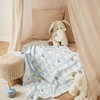 Bieco Cuddly Blanket Various Designs Approx. 90 x 75 cm