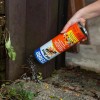 Terro 1 Lb. Ant Killer Dust - Fire Ants, Roaches,