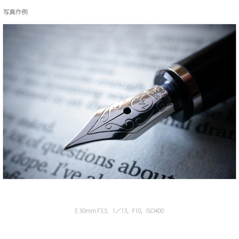 Sony SEL30M35 MILC Macro lens Silver Camera Lense