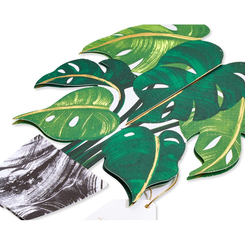 Papyrus Blank Pop Up Card (Plant)