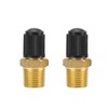 2 Pieces Brass Schrader Valve, NPT Tank Valves with 1/4"