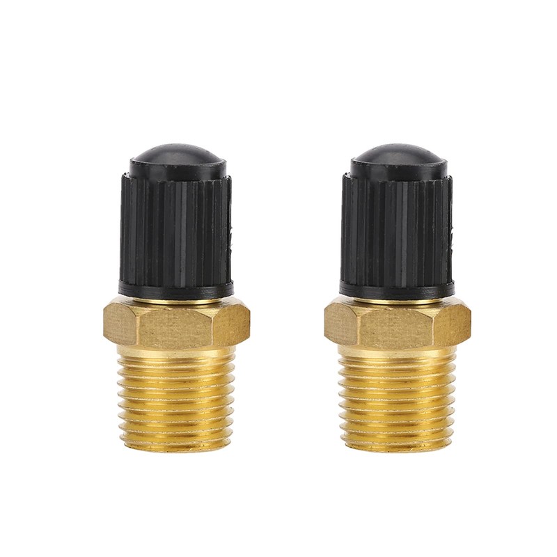 2 Pieces Brass Schrader Valve, NPT Tank Valves with 1/4"