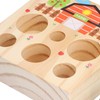 Baby Carrot Harvest Game Wooden Carrots Shape Sorting Matching Puzzle