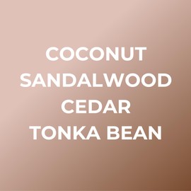 Bright Spot Surf Shack Car Fragrance - Premium Car Hanging Air Freshener, Long-Lasting Fragrance for Auto and Home | coconut & Woody | Coconut, Sandalwood, Santal | Vegan & Cruelty Free