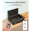 PINEWORLD Gun Safe, Biometric Gun Safes For Handgun, Pistol Safe