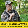 ESH Mouth Coyote Call for Pup in Distress – Double