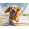 Playful Cockapoo on the Beach - Hand-Signed Watercolour Artwork Print