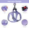 BELLA & PAL Step in Vest Harness for Small and