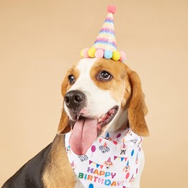 TSJ Dog Birthday Party Supplies Pet Mini Party Hat with Pom Poms Dog Birthday Bandana for Collar