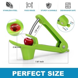 SCHVUBENR Cherry Pitter Tool - Stainless Steel Cherry Corer Pitter with Ergonomic Push Design - Easy to Use for Making Cherry Jam - Pit Cherry with Ease, Saving Time & Space with Lock Design(Green)
