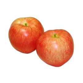 GuCra Set of 2 Realistic Apples Food Sample Fruit Model (Large)