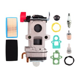 A021004920 Carburetor for Echo Backpack Leaf Blowers PB-8010H PB-8010T PB-9010 WYAB-1, for Shindaiwa EB810 EB810RT EB910 with Air Filter