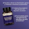DR. MERCOLA – Enzimas para la Vesícula Biliar con Liberación