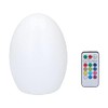 Spetebo LED Light Ball Multi Colour with Remote Control –