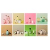 KWAILNARA Strawberry Milk Vitalizing Body Cleanser 560g