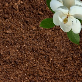 GARDENWISE Peat Moss for Plants – Organic Sphagnum Peat Moss for Orchids, Terrariums, Seed Starting, Reptiles & Potting Soil Mix (15 quarts)