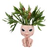 Head Planter Resin Unique Succulent Flower Pot Open Eyed Alien
