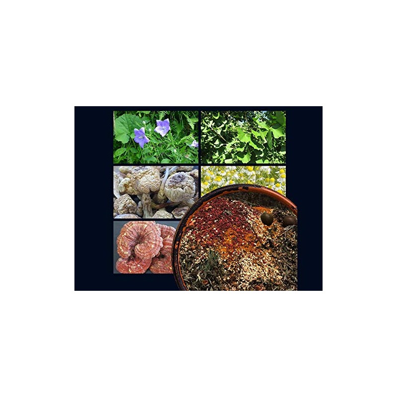 シードコムス 匠の野草酵素 サプリメント 乳酸菌 ＆ 生酵素をカプセルに凝縮 約6ヶ月分 180粒 【GMP認定工場・国内製造】