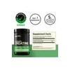 Creatina Monohidratada On Creatine Powder 1200 G 240 Servs