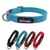 WDPAWS Dog Collar Polyester Cotton Webbing with Neoprene Inner Quick Release Bronze-Colored Buckle Buckle for Medium Dogs (Blue, M)
