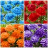 100+ Mixed Colorful Peony Flower Seeds for Planting- Peony Flower