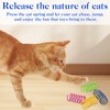 Nexhyp 100 PCS Colorful Spring Cat Toys Set, Durable Plastic