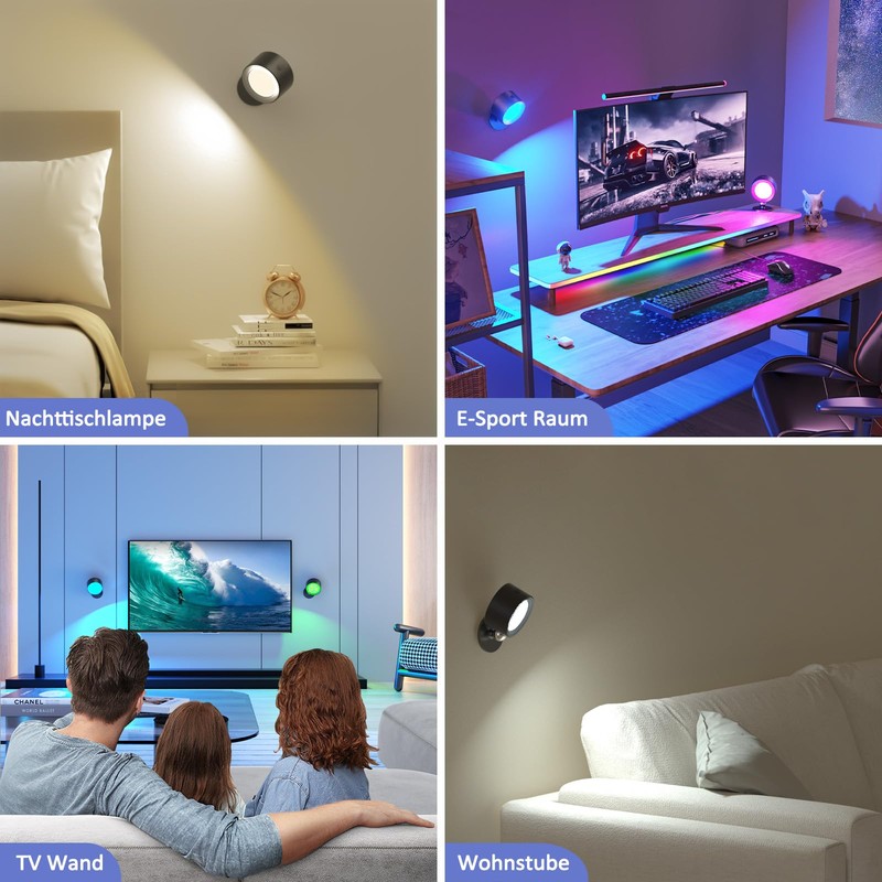 Lightbiz Remote Control for 16 Colour Modes RGB Ambience Wall