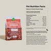 Open Farm, Ancient Grains Dry Dog Food for Puppies, Protein-Rich