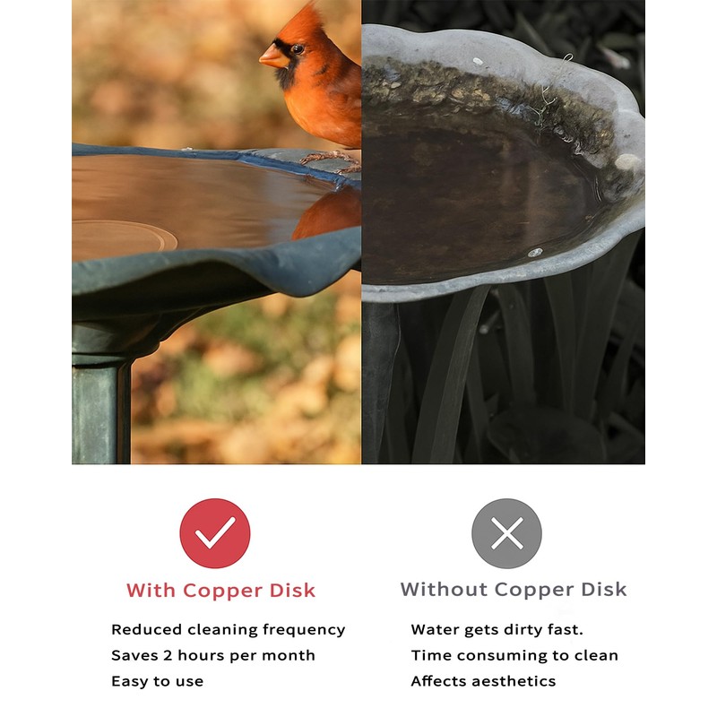 JWShang Bird Bath Copper Disk, Four-Point Support 99.99% Pure Copper