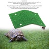 Small Turtle Basking Platform Simulation Grass Turtle Ladder Resting Terrace