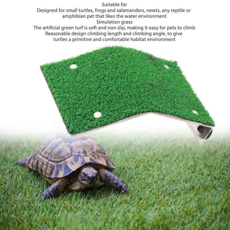 Small Turtle Basking Platform Simulation Grass Turtle Ladder Resting Terrace