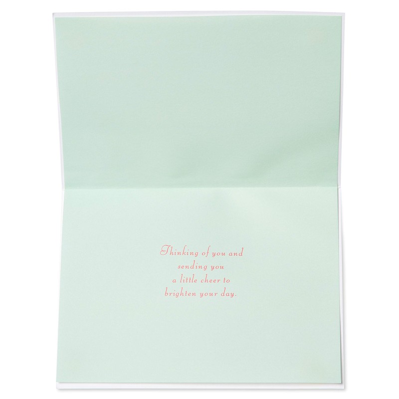 Papyrus Get Well Soon Card (A Little Cheer)