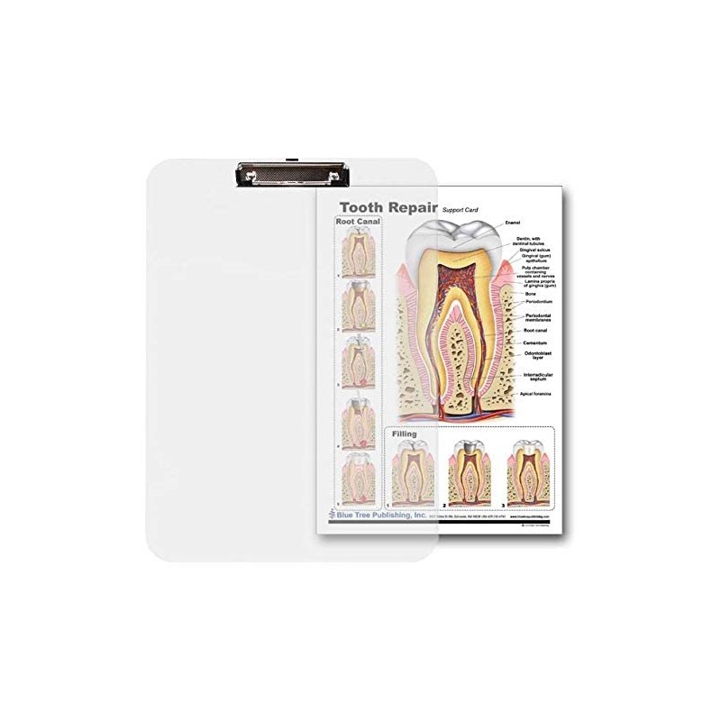 Blue Tree Publishing Tooth Repair chart with clipboard, two sided