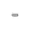 Apple USB-C to Lightning Adapter