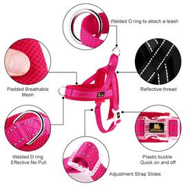 Plutus Pet No Pull Dog Harness with Breathable Mesh Padded, Adjustable Reflective Escape Proof Dog Harness, Quick Fit Dog Vest Harness for Small Medium Large Dogs(S, Pink)