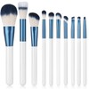 SHELWIN Makeup Brushes Set, 10 Pieces, Makeup Brushes, Powder Brushes,