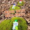 Buddy Fruits Snacks To Go Mango Unsweetened Applesauce 3.2oz Pouch