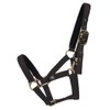 Hy Fieldsafe Headcollar - Green - Pony - Horse Equestrian