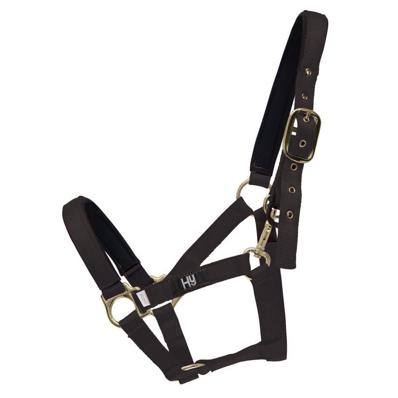 Hy Fieldsafe Headcollar - Green - Pony - Horse Equestrian