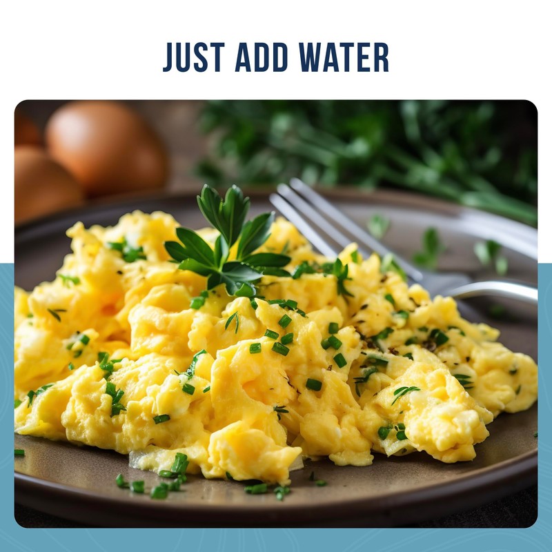 Pasteurized Dried Whole Egg Powder Can Emergency Food Supply, 85