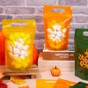 FYSUIMU 90Pcs Fall Treat Bags Bulk Autumn Colors Zip Lock