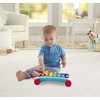 Fisher-Price Toddler Pull Toy, Classic Xylophone Pretend Musical Instrument with