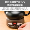 TESCOM"酒燗器 (Warmed SakeI Machine)" SK31【Japan Domestic genuine products】