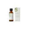Life Tree Earl Grey Bergamot Blend Essential Oil, 1.0 fl