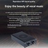Peakloong HiFi Fever D200P Mono Subwoofer Amplifier TPA3221 High Power