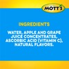 Mott's 100 percent Apple White Grape Juice, 6.75 fl oz