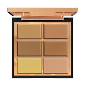 FV Premium Cream Concealer Palette, 6 Colors Corrector for Dark Circles, Redness & Acne, Long Lasting, Waterproof, Full Coverage Cream Foundation Palette with Natural Finish, 02 Medium Shade