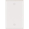 Legrand - PASS & SEYMOUR TP13WCC30 White 1G Blank Nylon