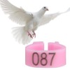 6 Colours 100 Pieces/Bag 8 mm 001-100 Numbered Plastic Bird