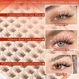 Brown Lash Clusters Natural Eyelash Clusters Wispy Lash Extension C-Curly Cluster Lashes Individual 10-16mm Cluster Eyelash Extensions for Daily Wear Natural Brown Lashes Clusters 100PCS